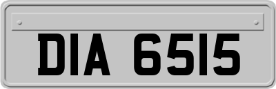 DIA6515