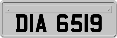 DIA6519