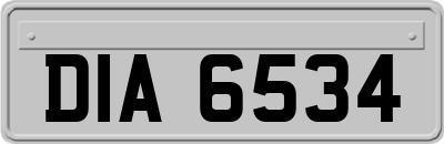 DIA6534