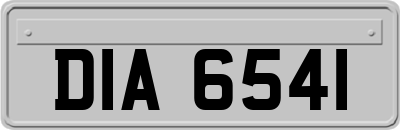 DIA6541