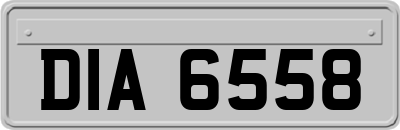 DIA6558