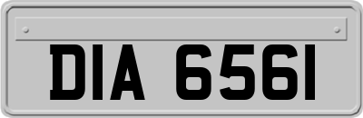DIA6561
