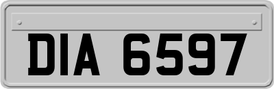 DIA6597