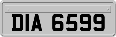 DIA6599