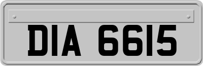 DIA6615