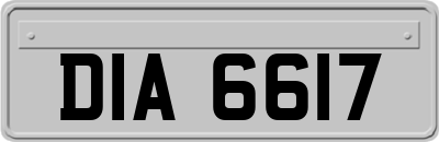DIA6617