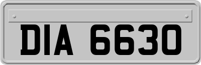DIA6630