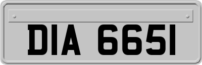 DIA6651