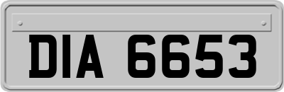 DIA6653