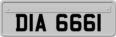 DIA6661