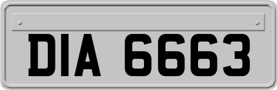 DIA6663
