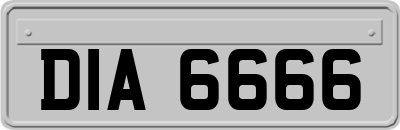 DIA6666