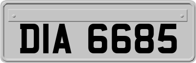 DIA6685