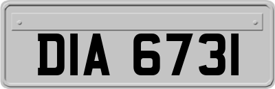 DIA6731