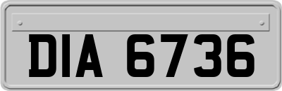 DIA6736