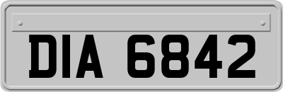 DIA6842