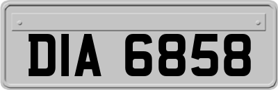DIA6858