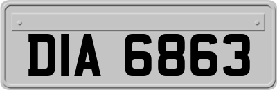 DIA6863