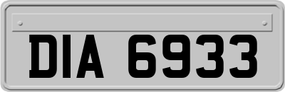 DIA6933