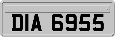 DIA6955