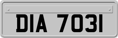 DIA7031