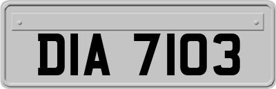 DIA7103
