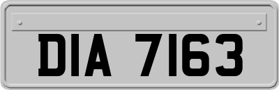 DIA7163