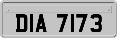 DIA7173