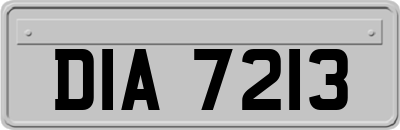 DIA7213