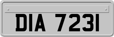 DIA7231