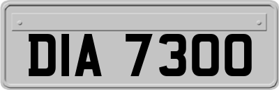 DIA7300