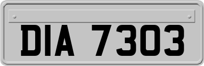 DIA7303