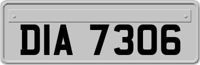 DIA7306