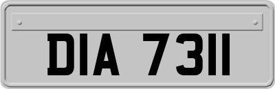DIA7311