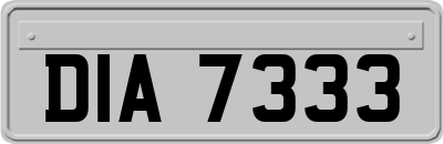DIA7333