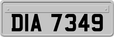 DIA7349