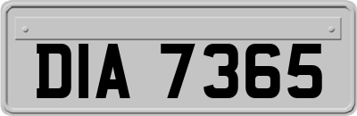 DIA7365
