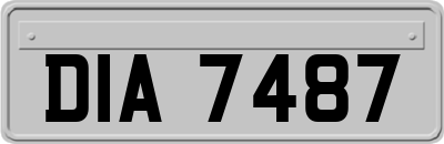 DIA7487