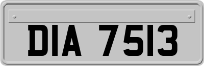 DIA7513