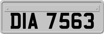 DIA7563