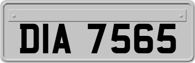 DIA7565