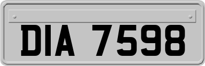 DIA7598