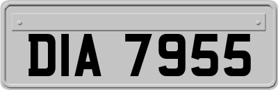 DIA7955