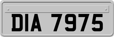 DIA7975