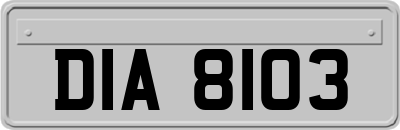 DIA8103