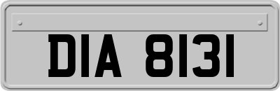 DIA8131