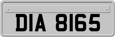 DIA8165