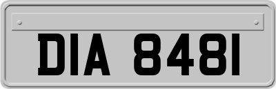 DIA8481