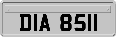 DIA8511