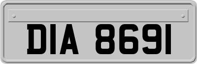 DIA8691